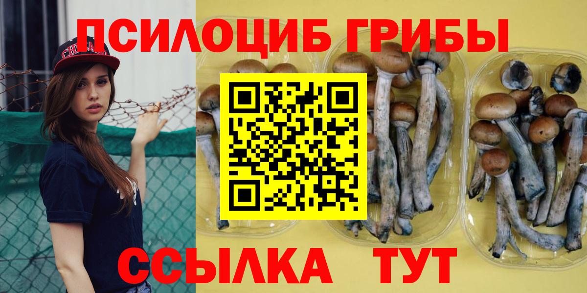 Псилоцибиновые грибы Psilocybe Городец