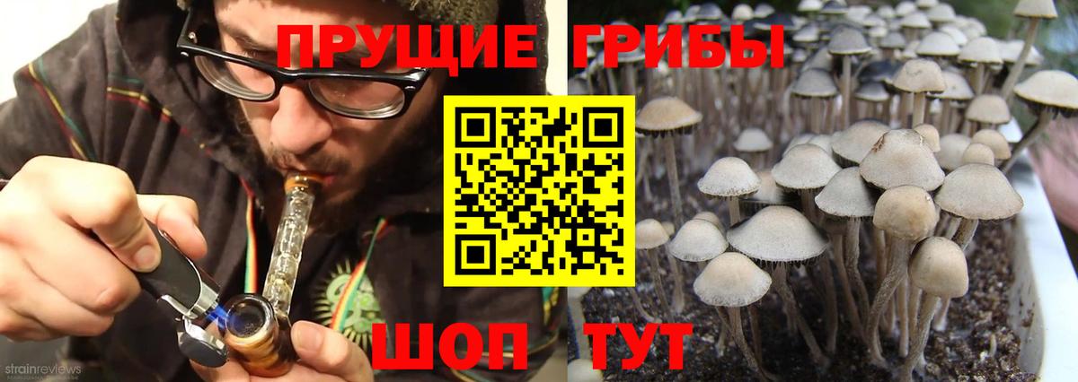 Галлюциногенные грибы Cubensis  Вход с VPN  Псилоцибиновые грибы ЛСД  Городец 